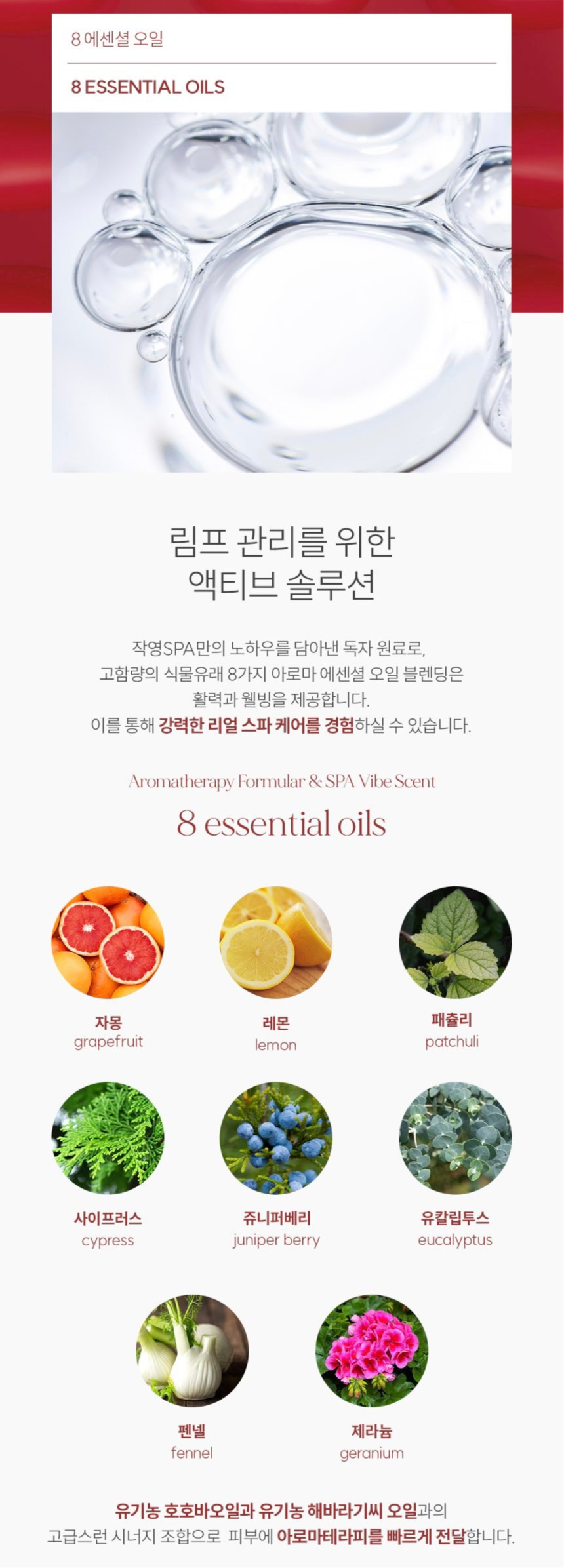 JAKYOUNG Cellu Light Stick 50g