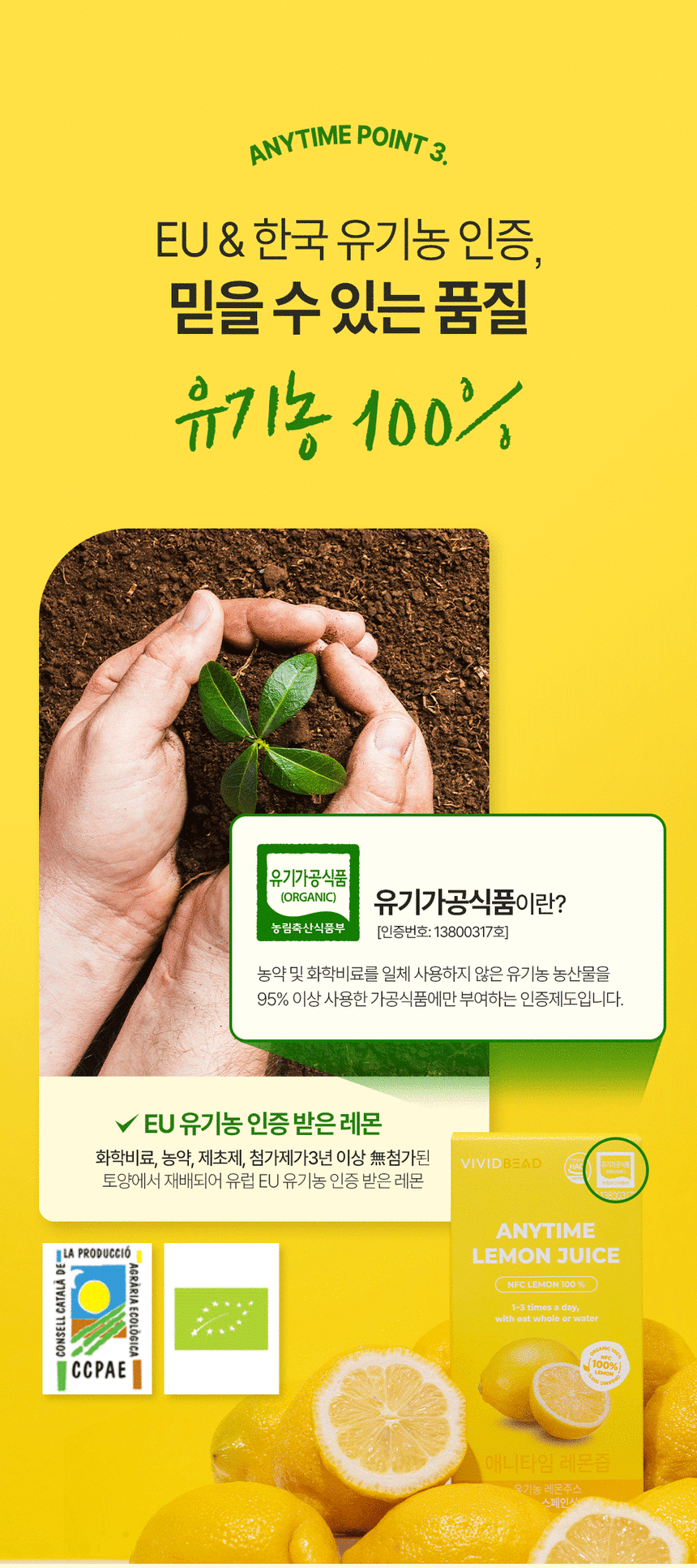 [ VIVIDBEAD ] Anytime Lemon Juice 20g x 14포 (280g)