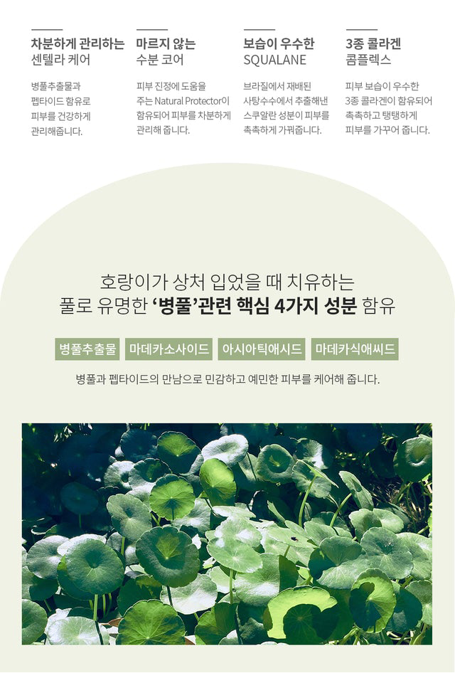 [Iidaya] – Centella Asiatica Mess Cream 30ml