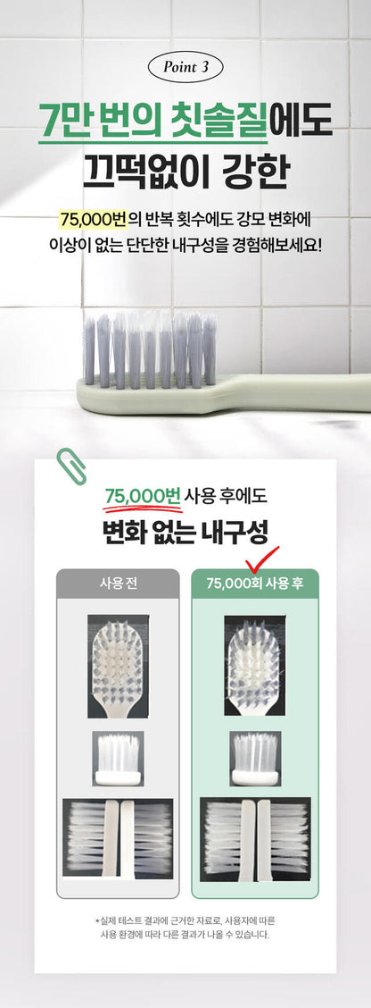 [ KIWA ] Tooth Brush