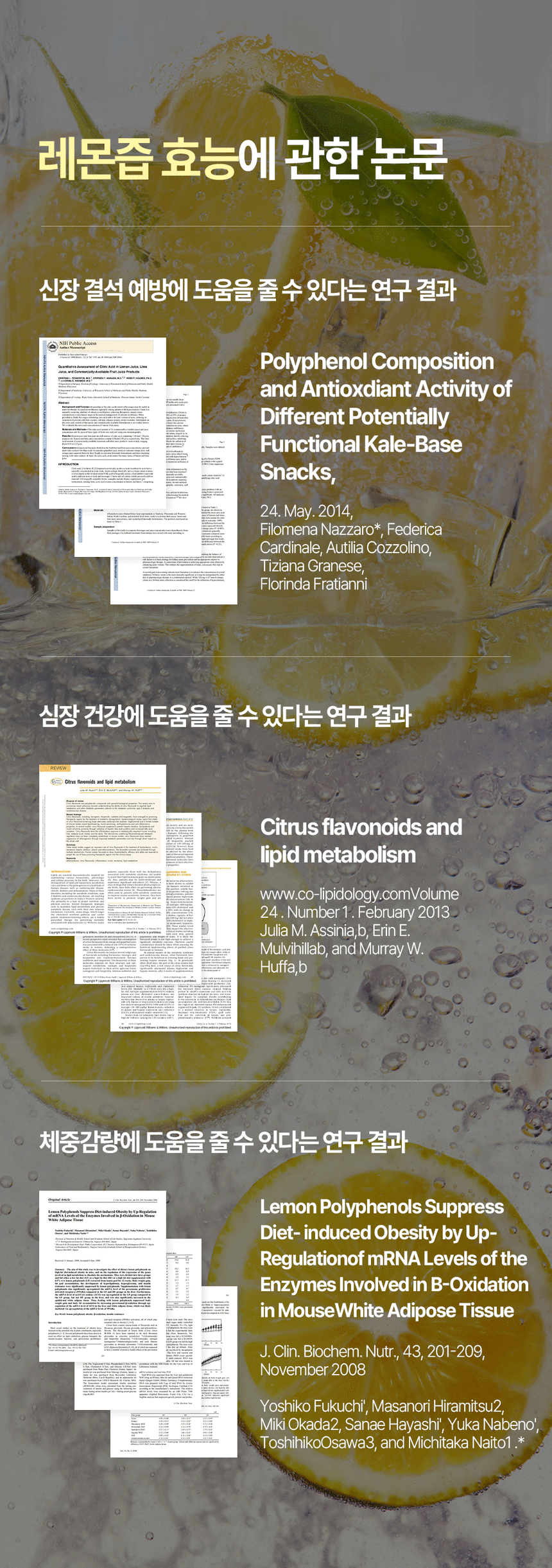 [ VIVIDBEAD ] Anytime Lemon Juice 20g x 14포 (280g)
